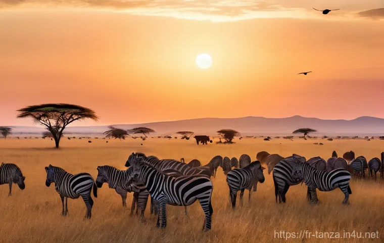 탄자니아의 기후와 계절별 여행 - **Vast Serengeti Migration at Sunrise**
    "A breathtaking wide-angle shot of the Great Migration a...
