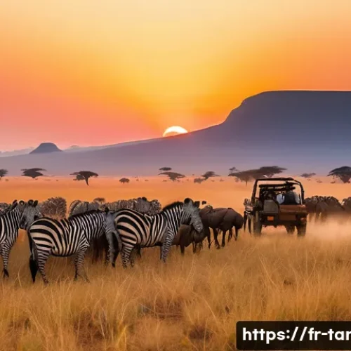 탄자니아 북부와 남부 비교 - A breathtaking panoramic view of the Serengeti National Park at sunrise. Thousands of wildebeest and...