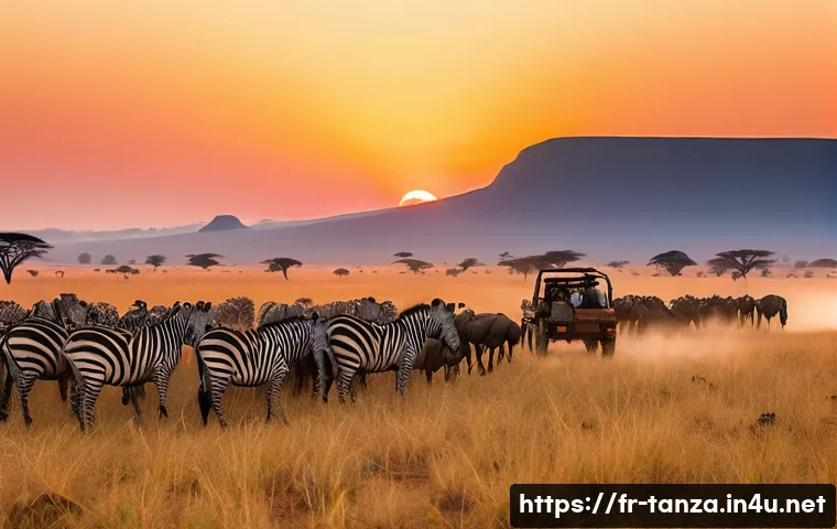 탄자니아 북부와 남부 비교 - A breathtaking panoramic view of the Serengeti National Park at sunrise. Thousands of wildebeest and...