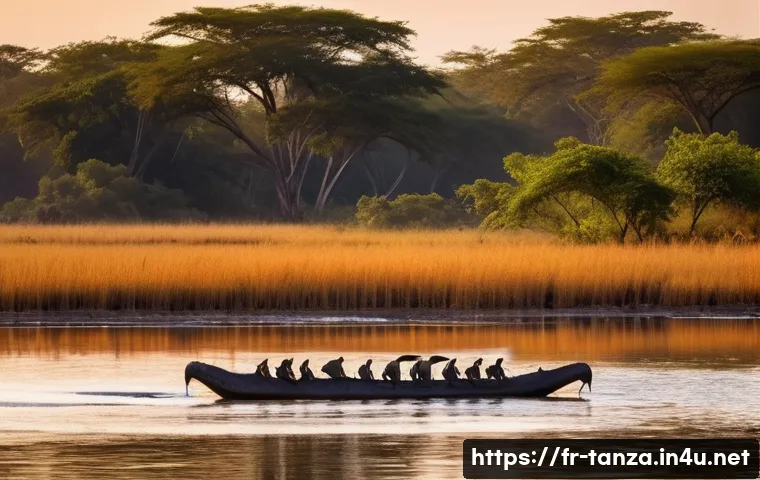 탄자니아 북부와 남부 비교 관련 이미지 2