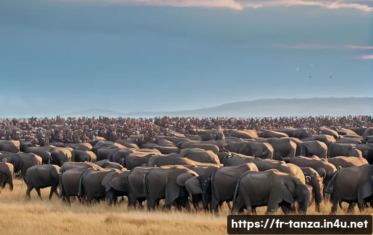 탄자니아와 케냐 비교 여행 관련 이미지 1