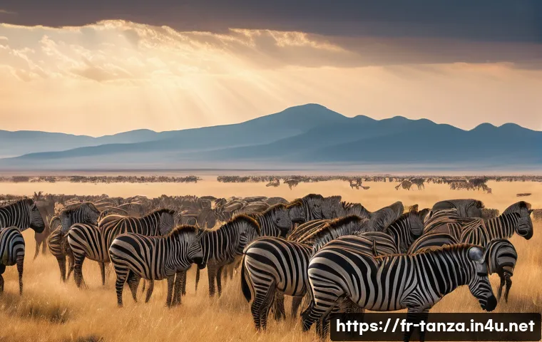 탄자니아와 케냐 비교 여행 관련 이미지 2