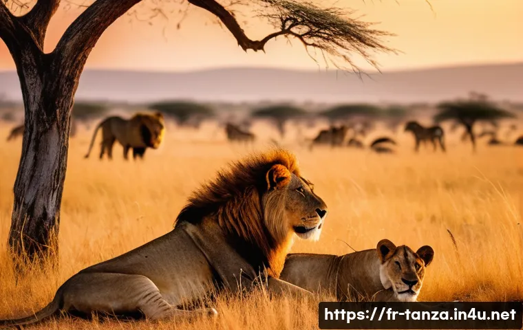 탄자니아의 독특한 동물 종 - A majestic African savanna scene at golden hour featuring a pride of lions resting under an acacia t...